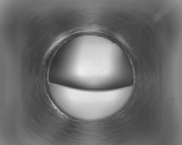 X0000082181456200701191040