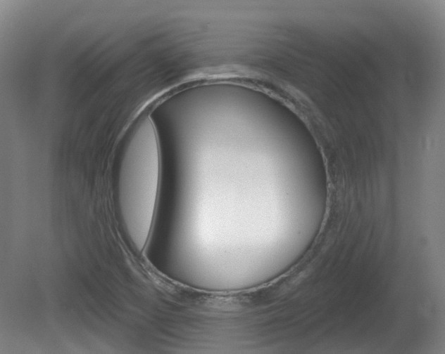 X0000082181457200701191040