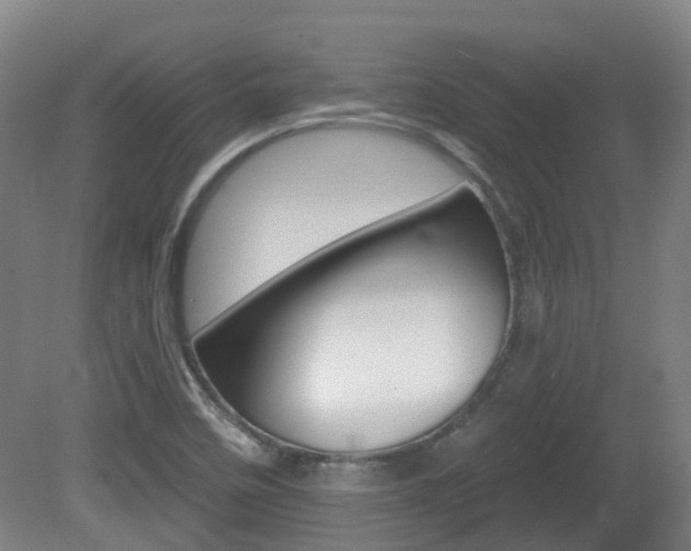 X0000082181458200701191040