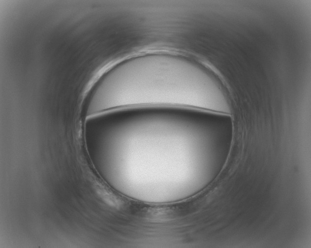 X0000082181461200701191040