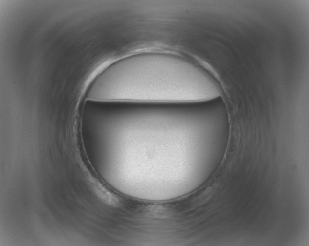 X0000082181463200701191040