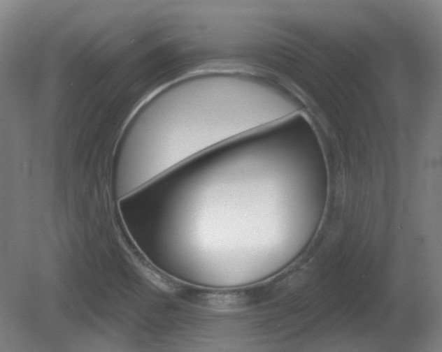 X0000082181465200701191040