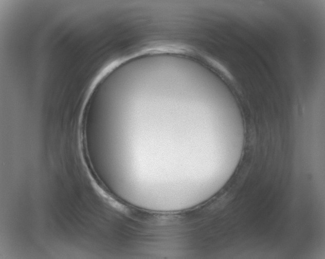 X0000082181471200701191040