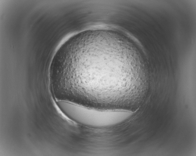 X0000082181479200701191040