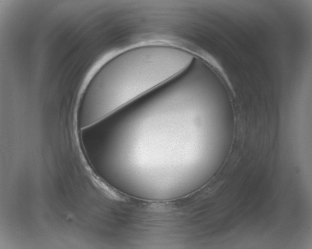 X0000082181480200701191040