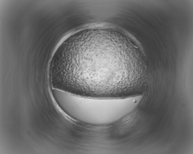 X0000082181483200701191040