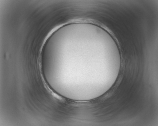 X0000082181486200701191039