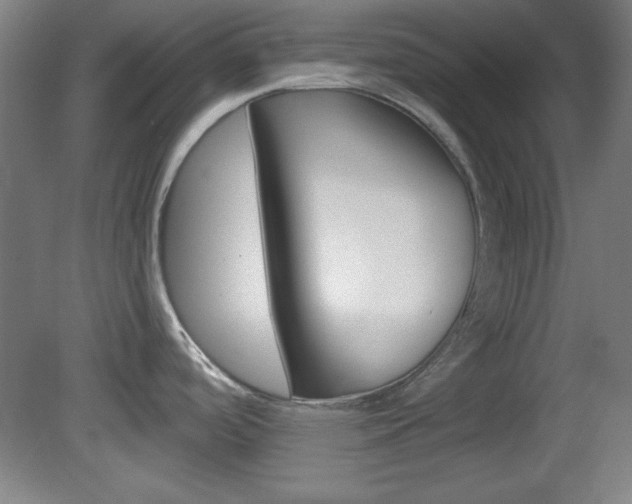 X0000082181488200701191039