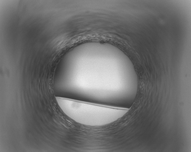 X0000082181490200701191039