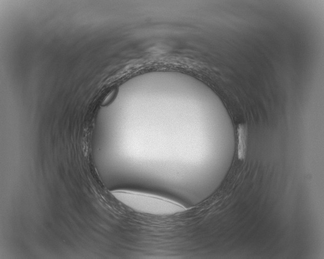 X0000082181491200701191039