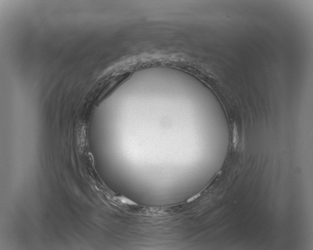 X0000082181492200701191039