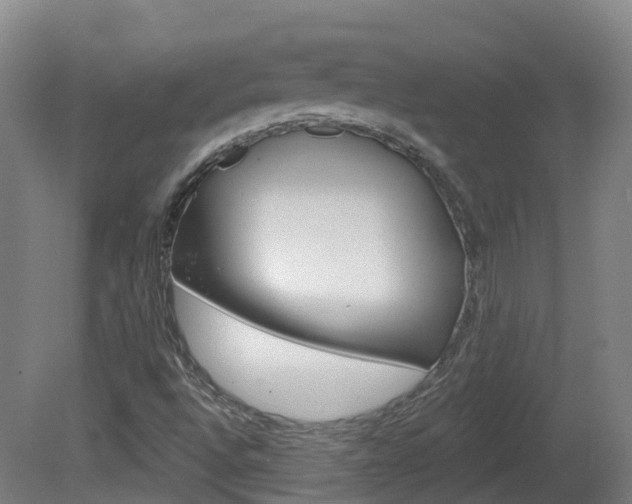 X0000082181496200701191039