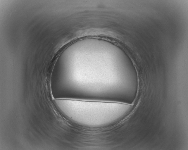 X0000082181497200701191039