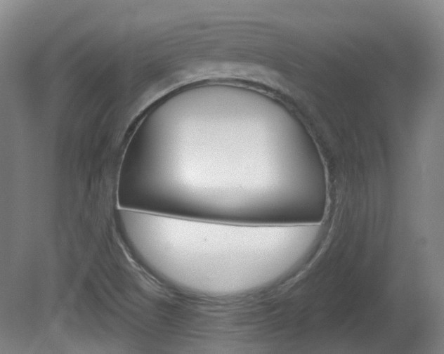 X0000082181505200701191039