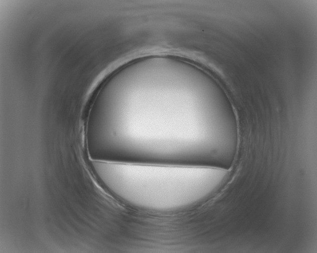 X0000082181509200701191039