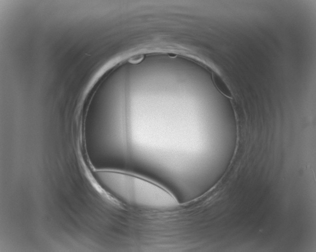 X0000082181515200701191039