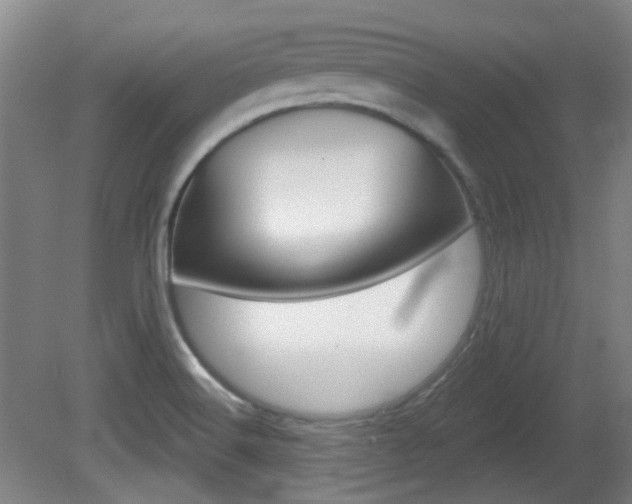 X0000082181516200701191039