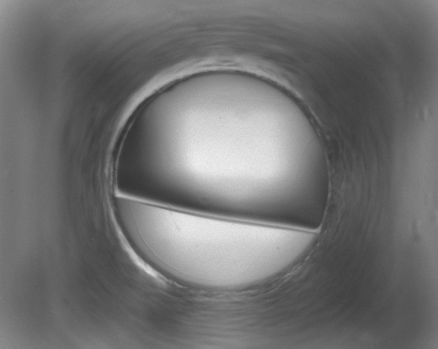 X0000082181519200701191039