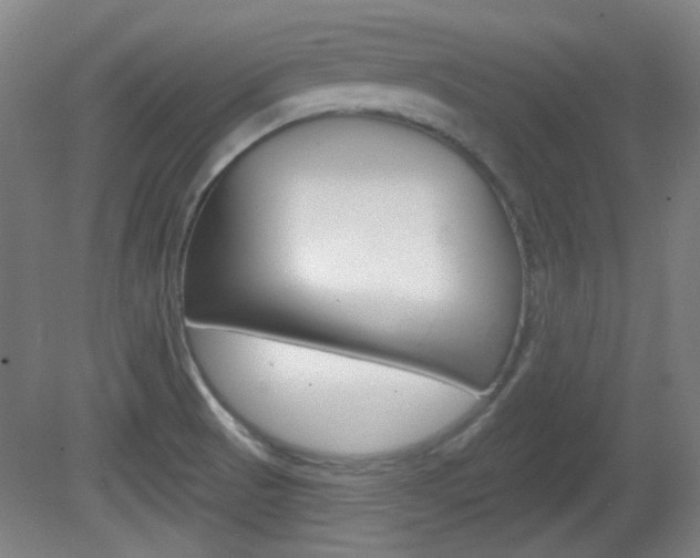 X0000082181521200701191039