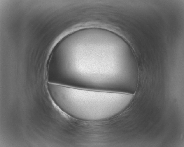 X0000082181527200701191039