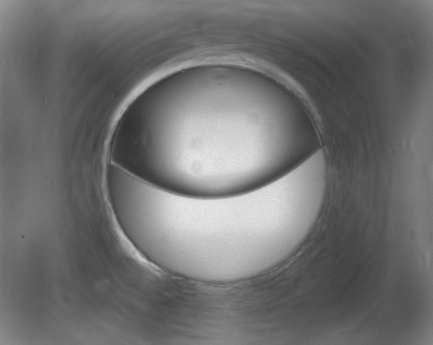X0000082181528200701191039