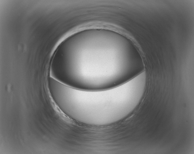 X0000082181530200701191039