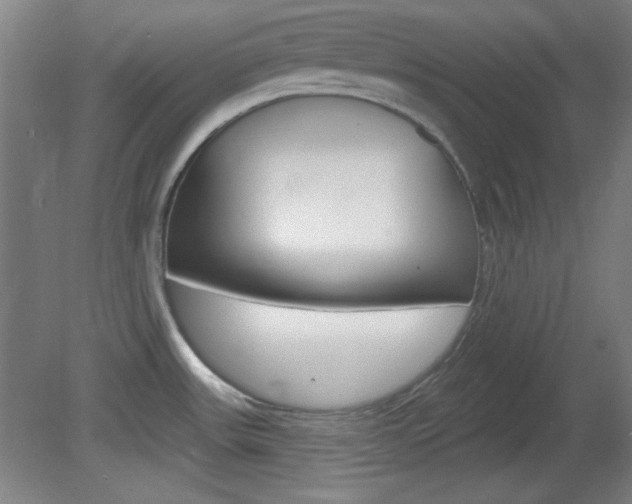 X0000082181531200701191039