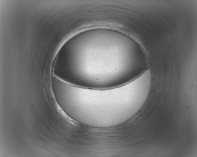 X0000082181532200701191039