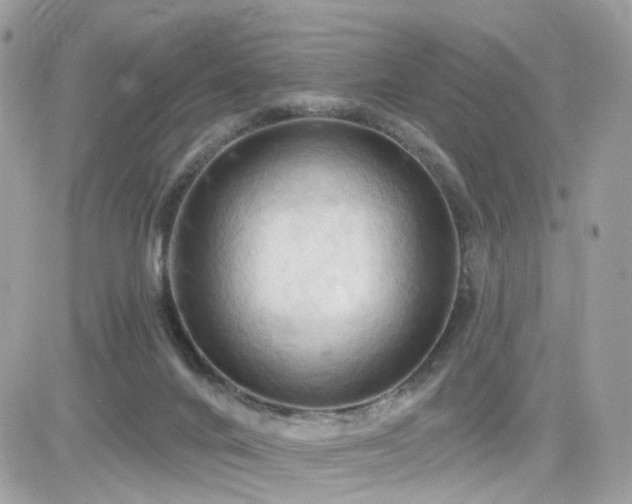 X0000082180024200701191251