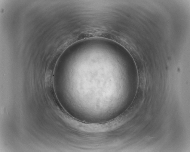 X0000082180034200701191251