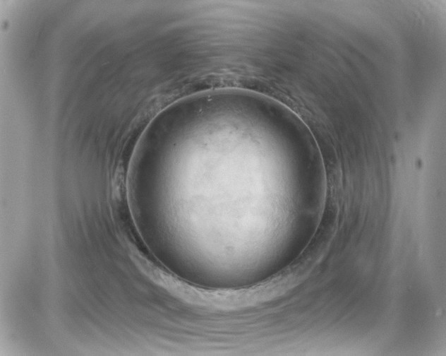 X0000082180038200701191251