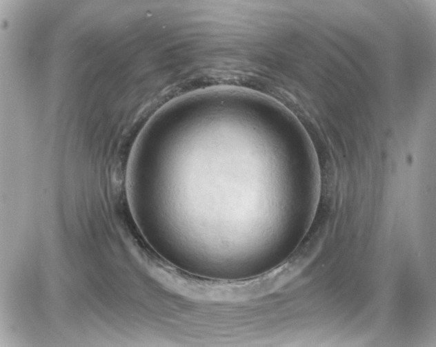 X0000082180040200701191251