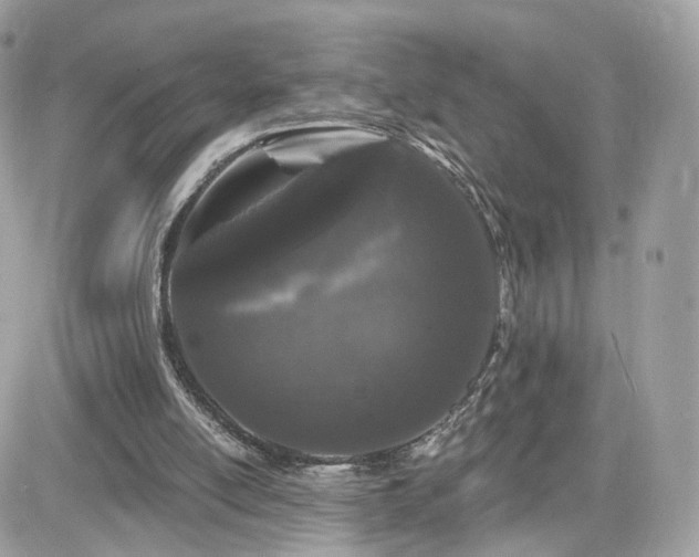 X0000082180054200701191250