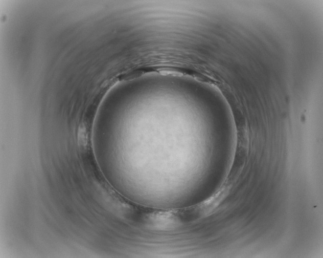 X0000082180086200701191251