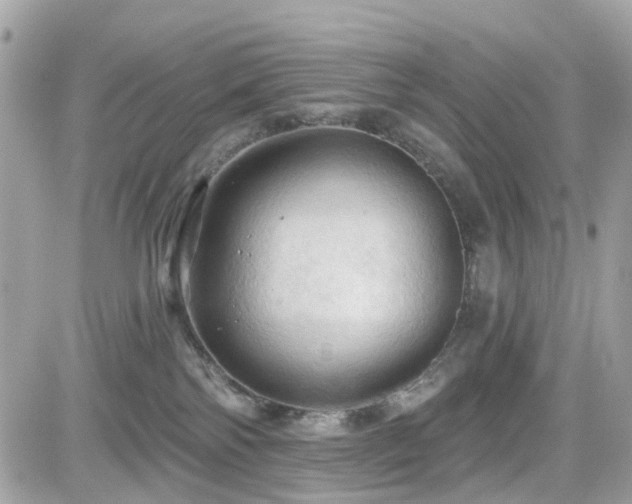 X0000082180138200701191249
