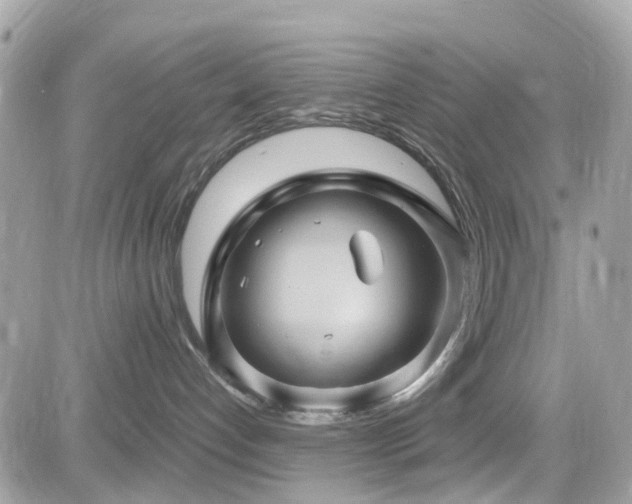 X0000082180192200701191249