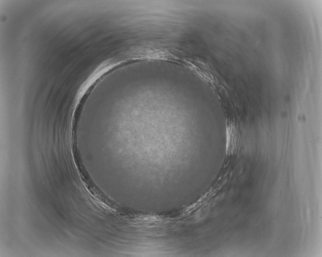 X0000082180195200701191248