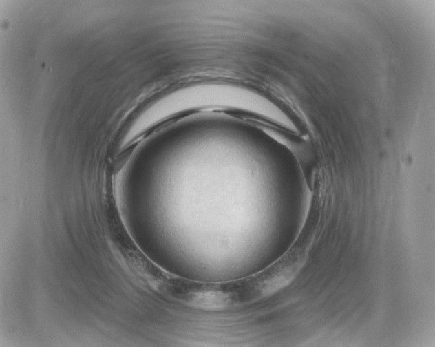 X0000082180212200701191248