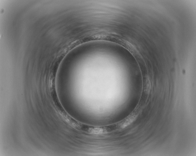 X0000082180230200701191248