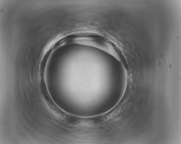 X0000082180248200701191247