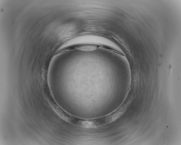 X0000082180265200701191247