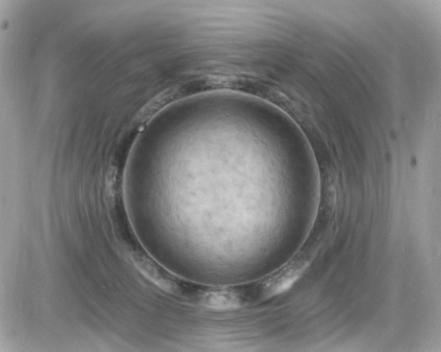X0000082180275200701191247