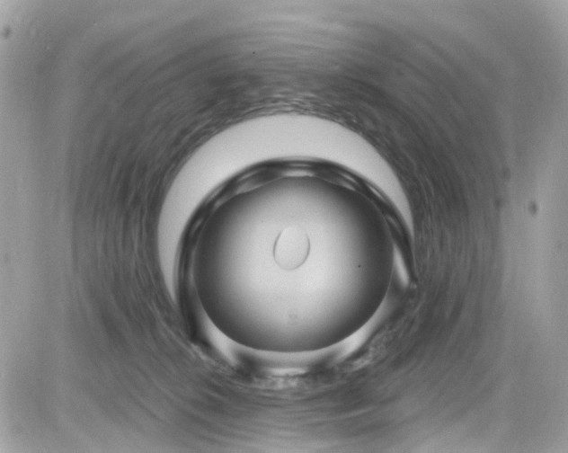X0000082180276200701191247