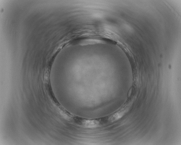 X0000082180277200701191247