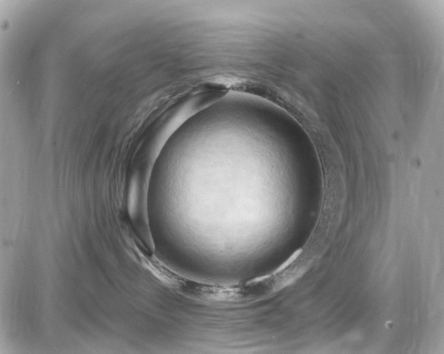 X0000082180288200701191248