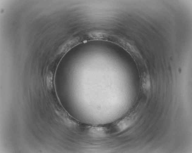 X0000082180332200701191246