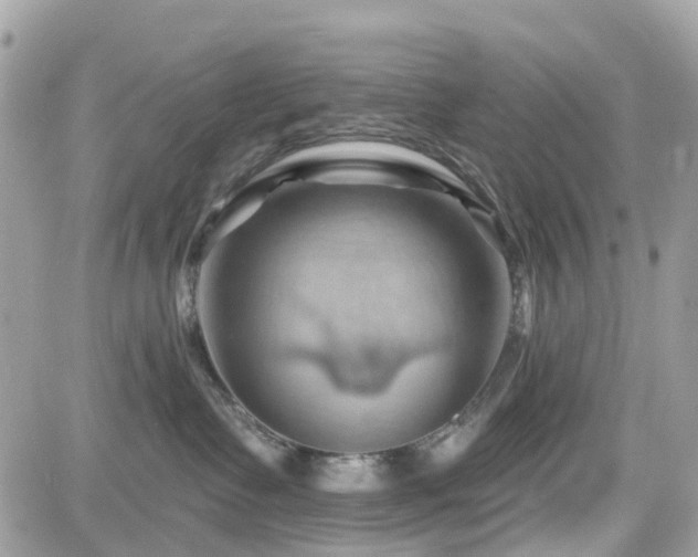 X0000082180335200701191246