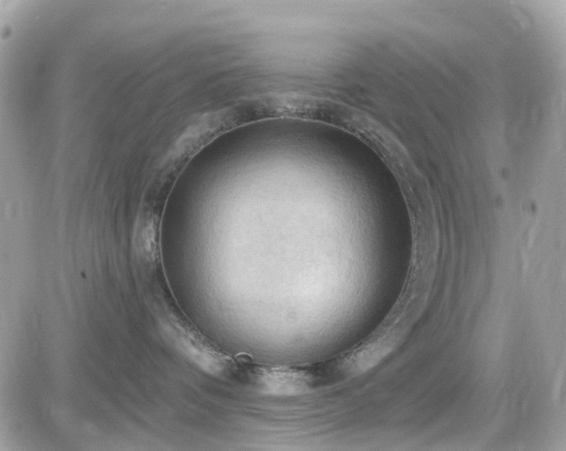 X0000082180336200701191246