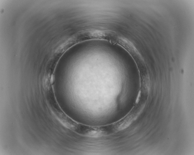 X0000082180364200701191246