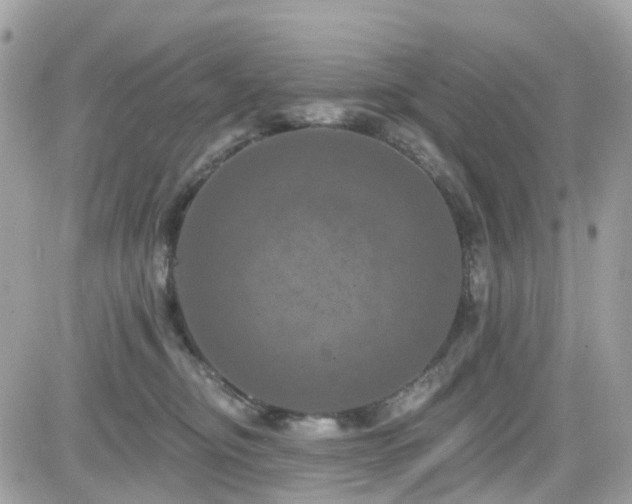 X0000082180374200701191246